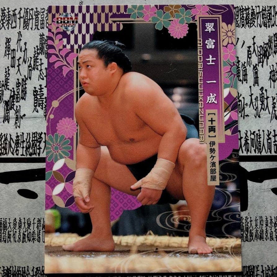 Amazon.co.jp: 翠富士 大相撲カード2022 : おもちゃ